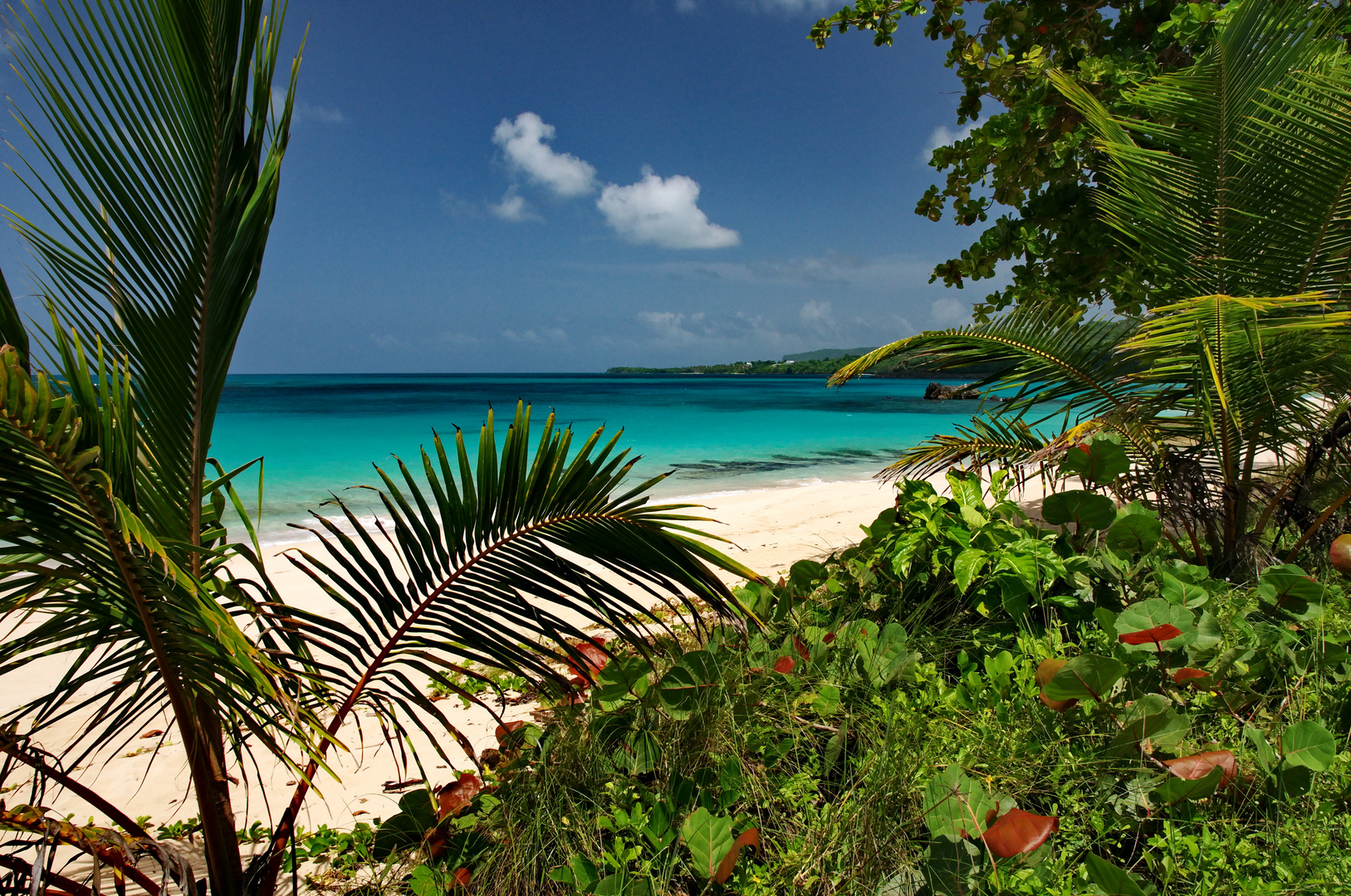 Playa Rincon Samana