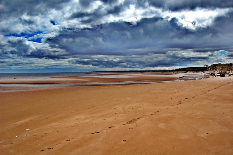 PLAYA SALVAJE EN TESTMUIR,ESCOCIA