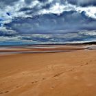 PLAYA SALVAJE EN TESTMUIR,ESCOCIA