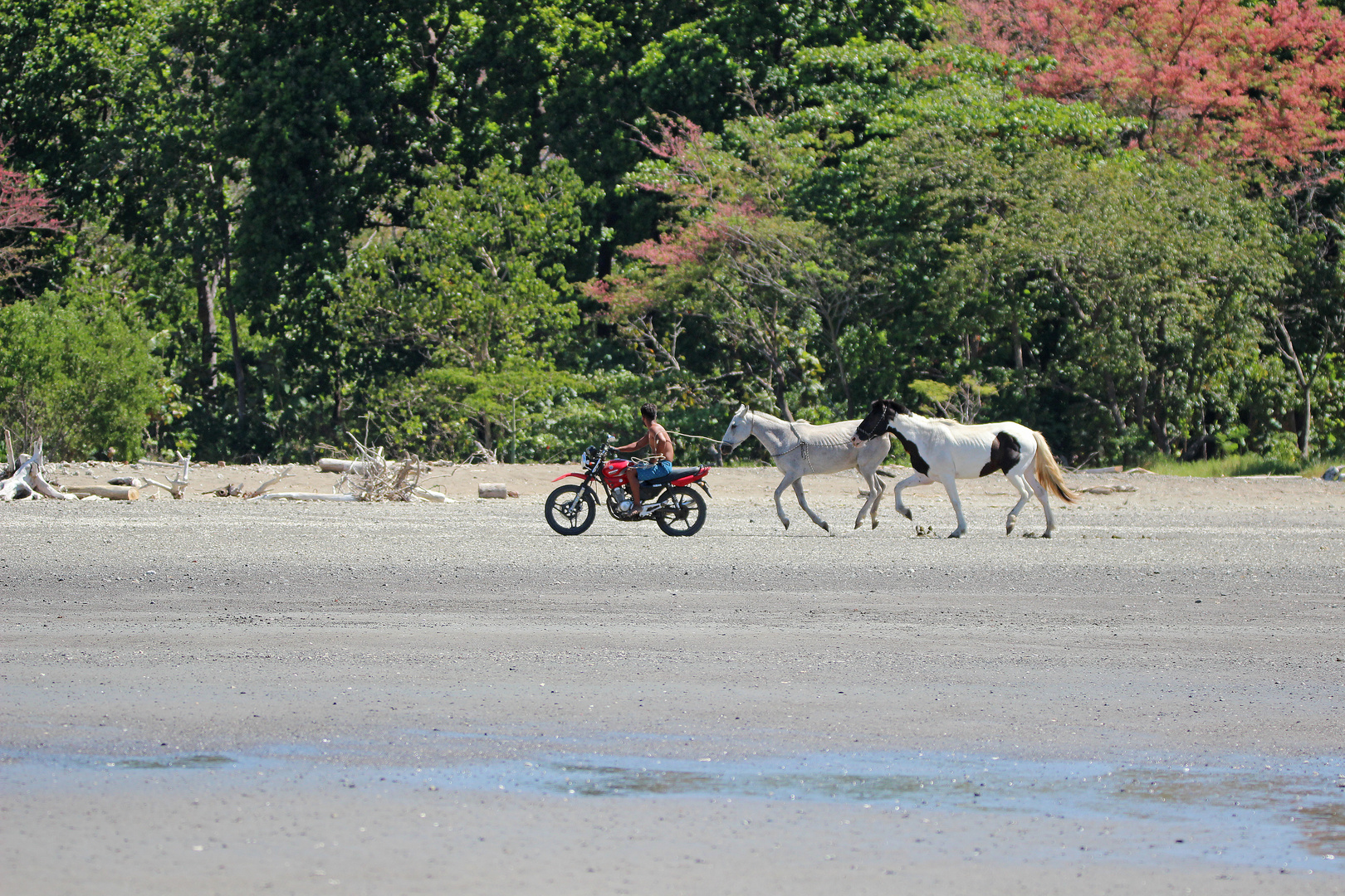 Playa Sámara, Costa Rica