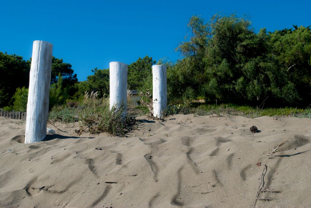 playa silvestre