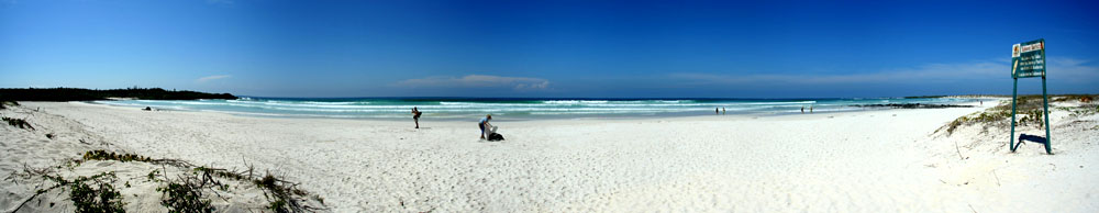 Playa Tortuga Bay