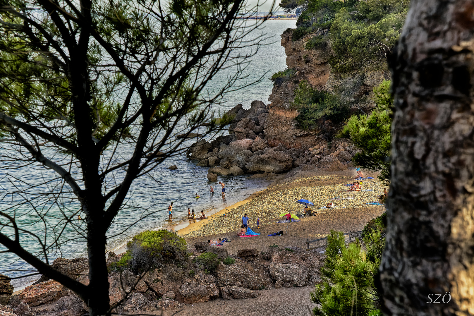 Playa y Bosque