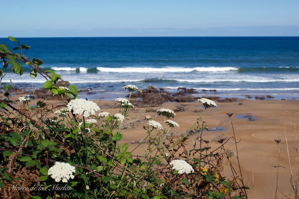 ...Playas de Caravia 3...