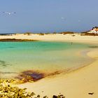 PLAYAS DE COTILLO (FUERTEVENTURA) .............AGUAS DE COLORES..