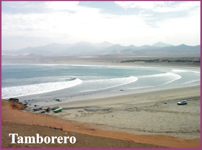 PLAYAS DE HUARMEY - TAMBORERO