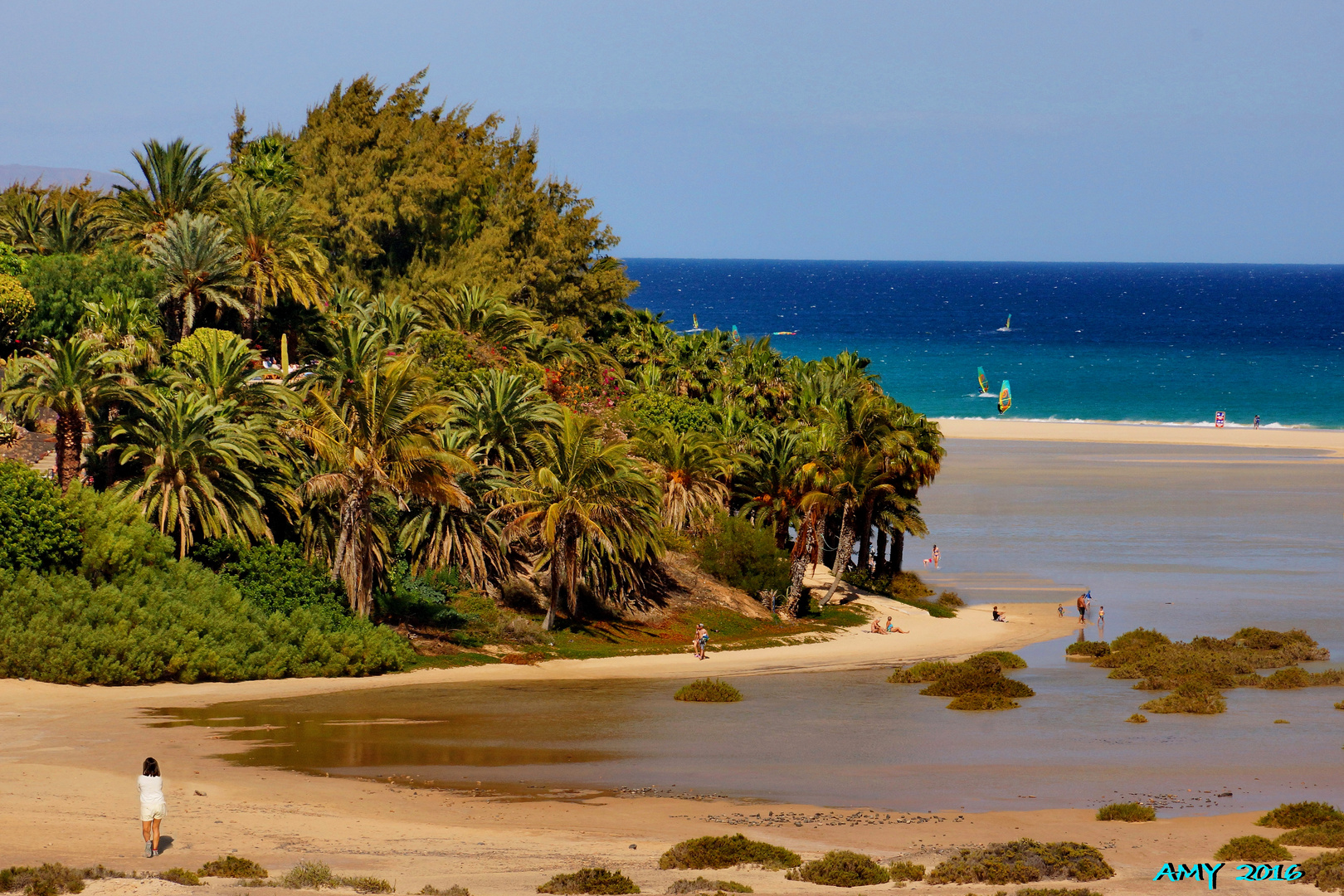 PLAYAS DE JANDIA (FUERTEVENTURA). Dedicada a JUAN GARCIA.