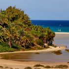 PLAYAS DE JANDIA (FUERTEVENTURA). Dedicada a JUAN GARCIA.