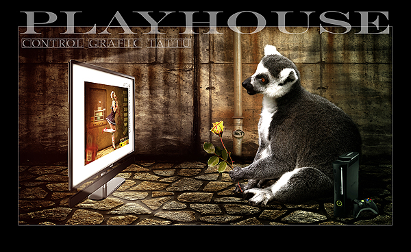 PlayHouse