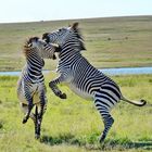 Playing after Sunday morning breakfast