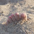 Playing at the beach. 