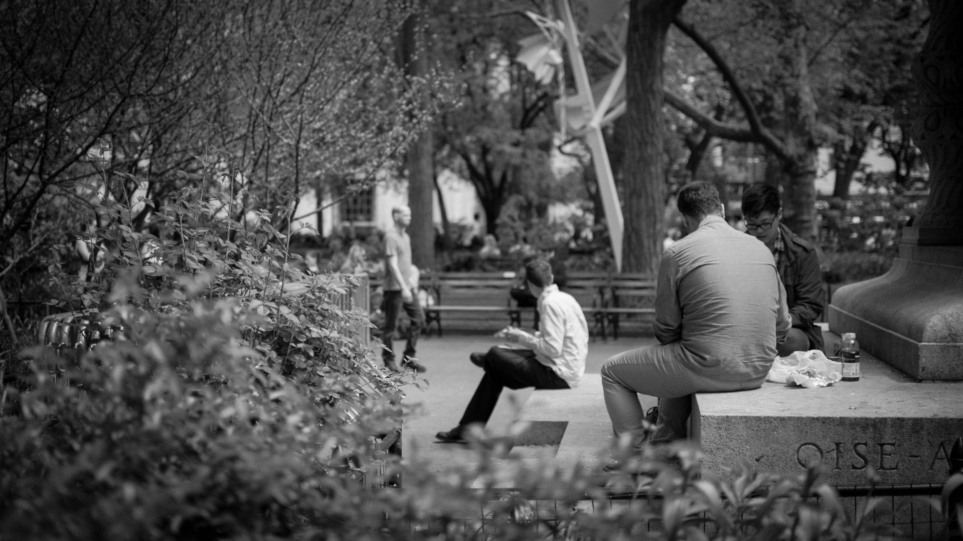 Playing Cards @ Madison Square Park