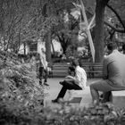 Playing Cards @ Madison Square Park