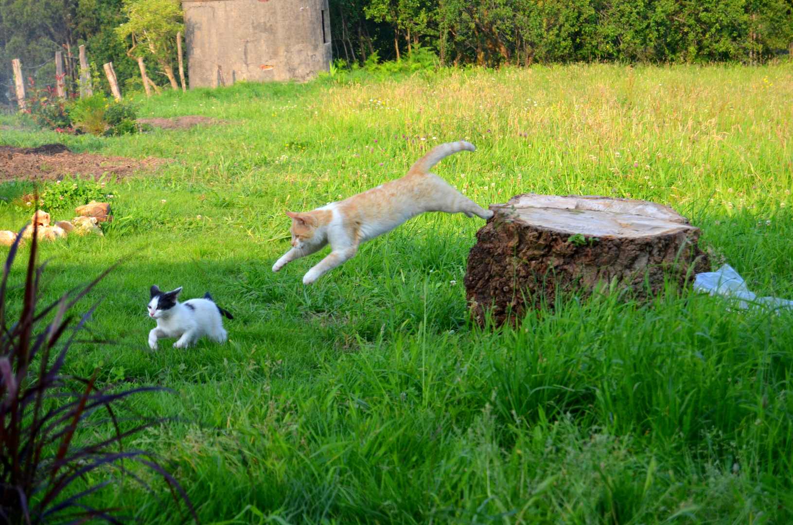 Playing catch