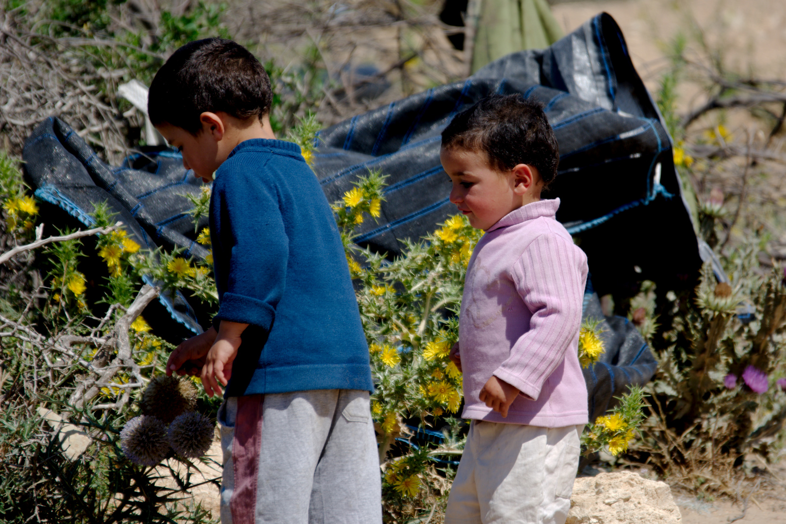 Playing Children