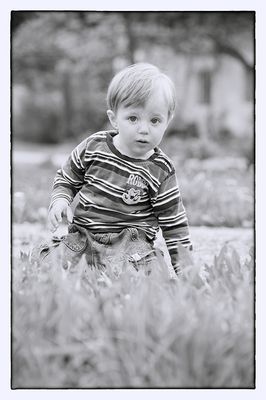 Playing in Gradmother's Garden
