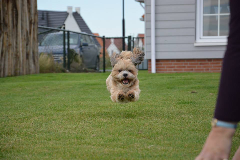 Playing in the garden