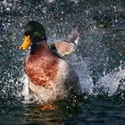 playing on water