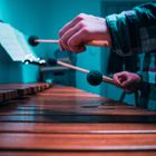 Playing the Marimba II