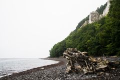 Playita en Rügen