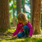 Playtime in Forrest, oder wieviele Kinder kennen den Wald?