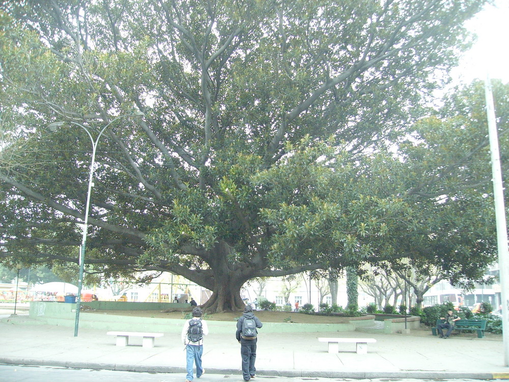 Plaza