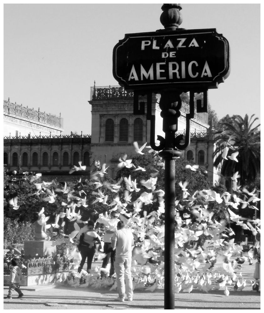 plaza america