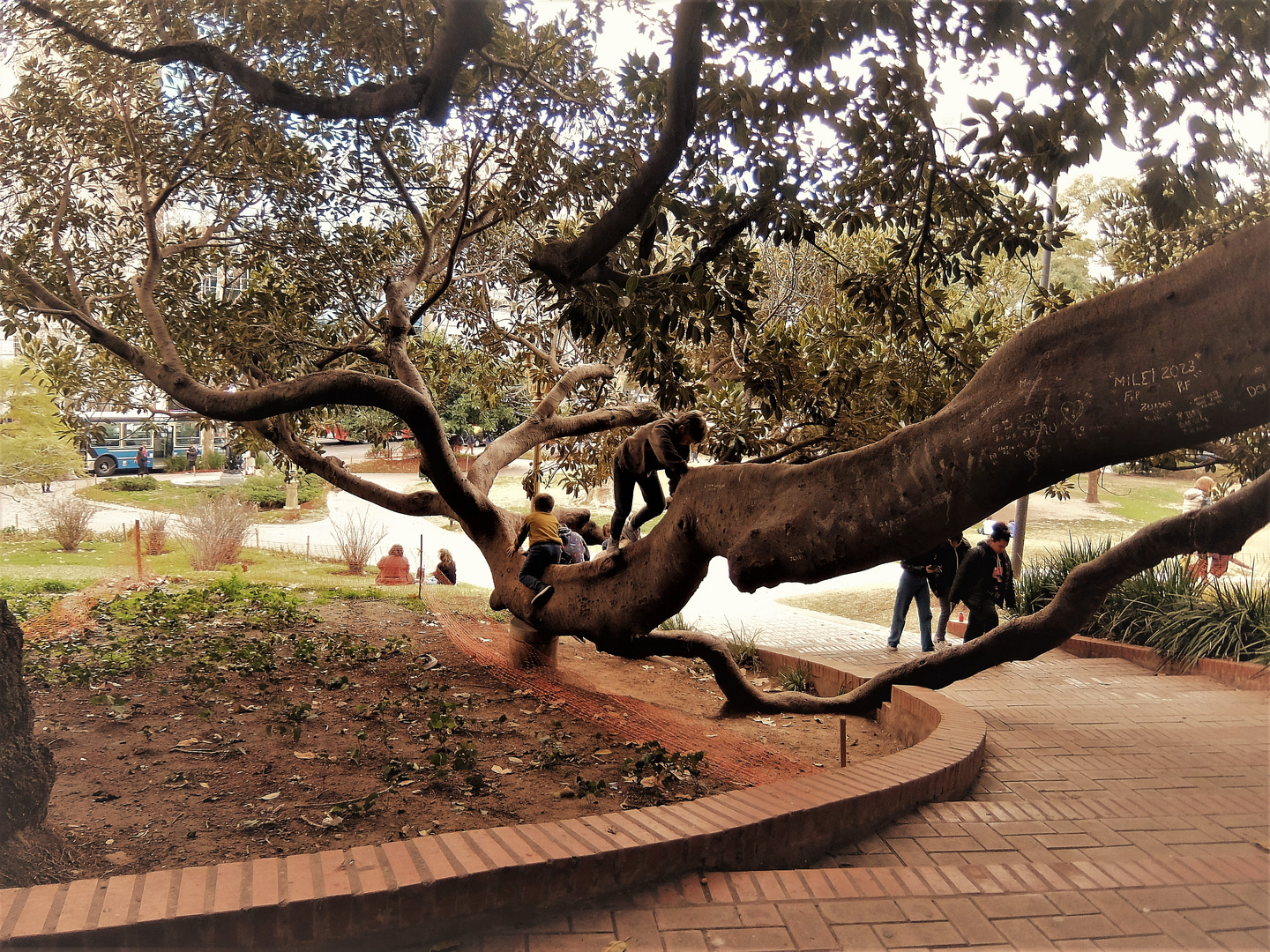 PLAZA BARRANCAS DE BELGRANO