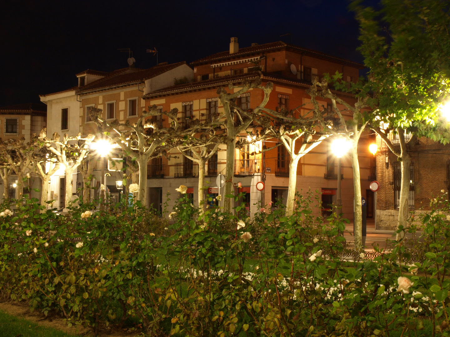 Plaza de Cervantes de Alcala de Henares