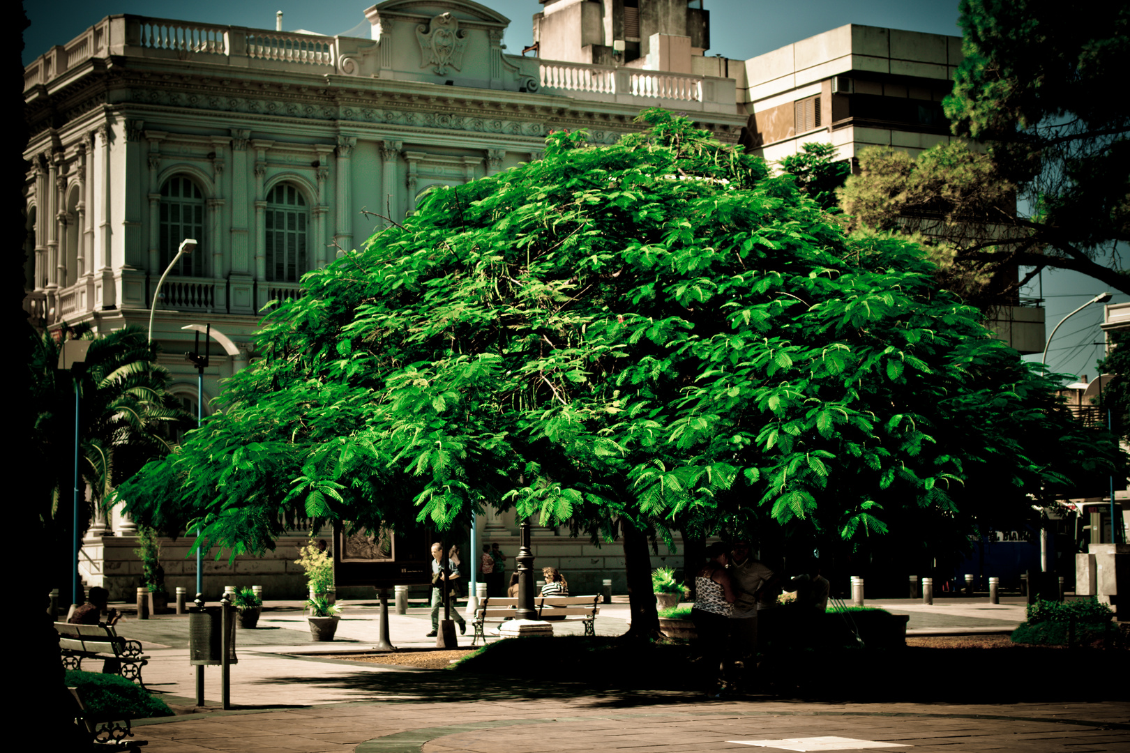 Plaza de la Ciudad de Paraná