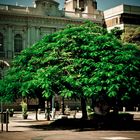 Plaza de la Ciudad de Paraná