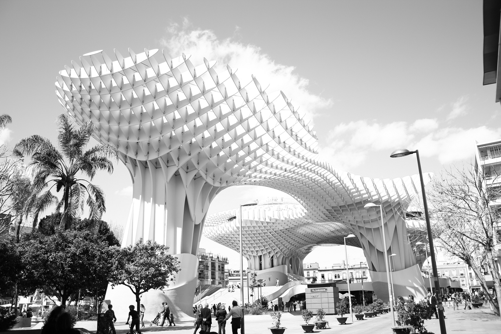 PLAZA DE LA ENCARNACIÓN