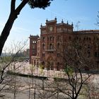 Plaza de toros