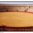 Plaza de Toros de la Maestranza    -Siviglia-