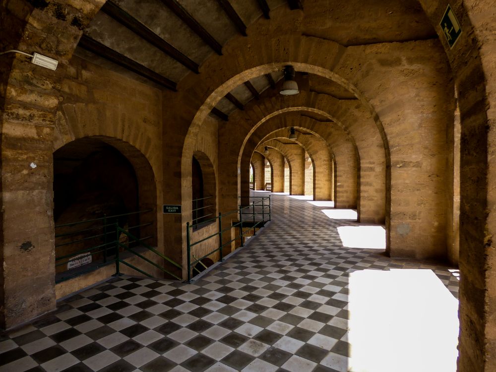 Plaza de Toros de Palma de Mallorca Imagen & Foto europe, spain