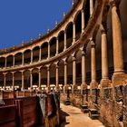 Plaza de toros de Ronda (Málaga)