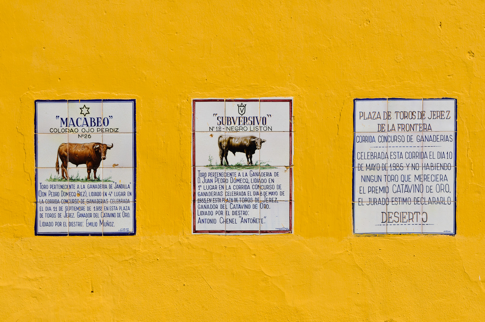 Plaza de Toros in Jerez de la Frontera (2)