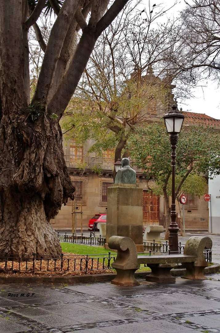 Plaza del Adelantado. La Laguna. Tenerife