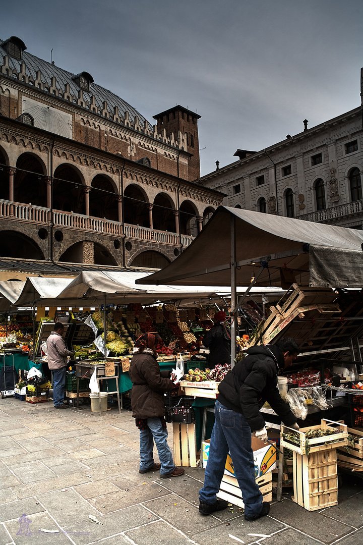 Plaza del mercado