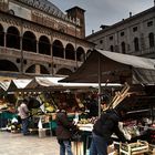 Plaza del mercado