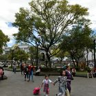 Plaza Grande 2