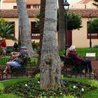 Plaza La Iglesia  Puerto de la Cruz.