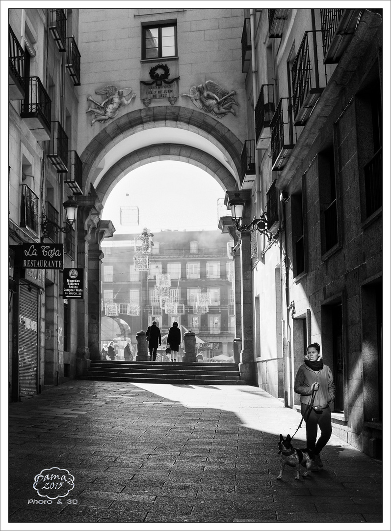 Plaza Mayor de Madrid (una de las entradas)