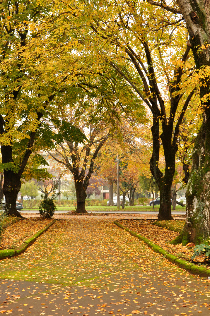 Plaza Pinto