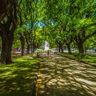 Plaza Rocha. La Plata