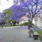 PLAZA SAN MARTIN