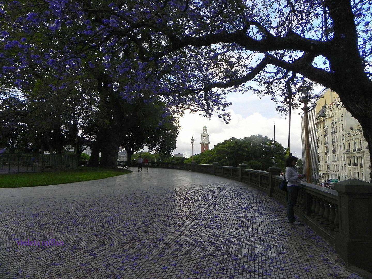 PLAZA SAN MARTIN