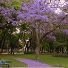 PLAZA SAN MARTÍN,BUENOS AIRES