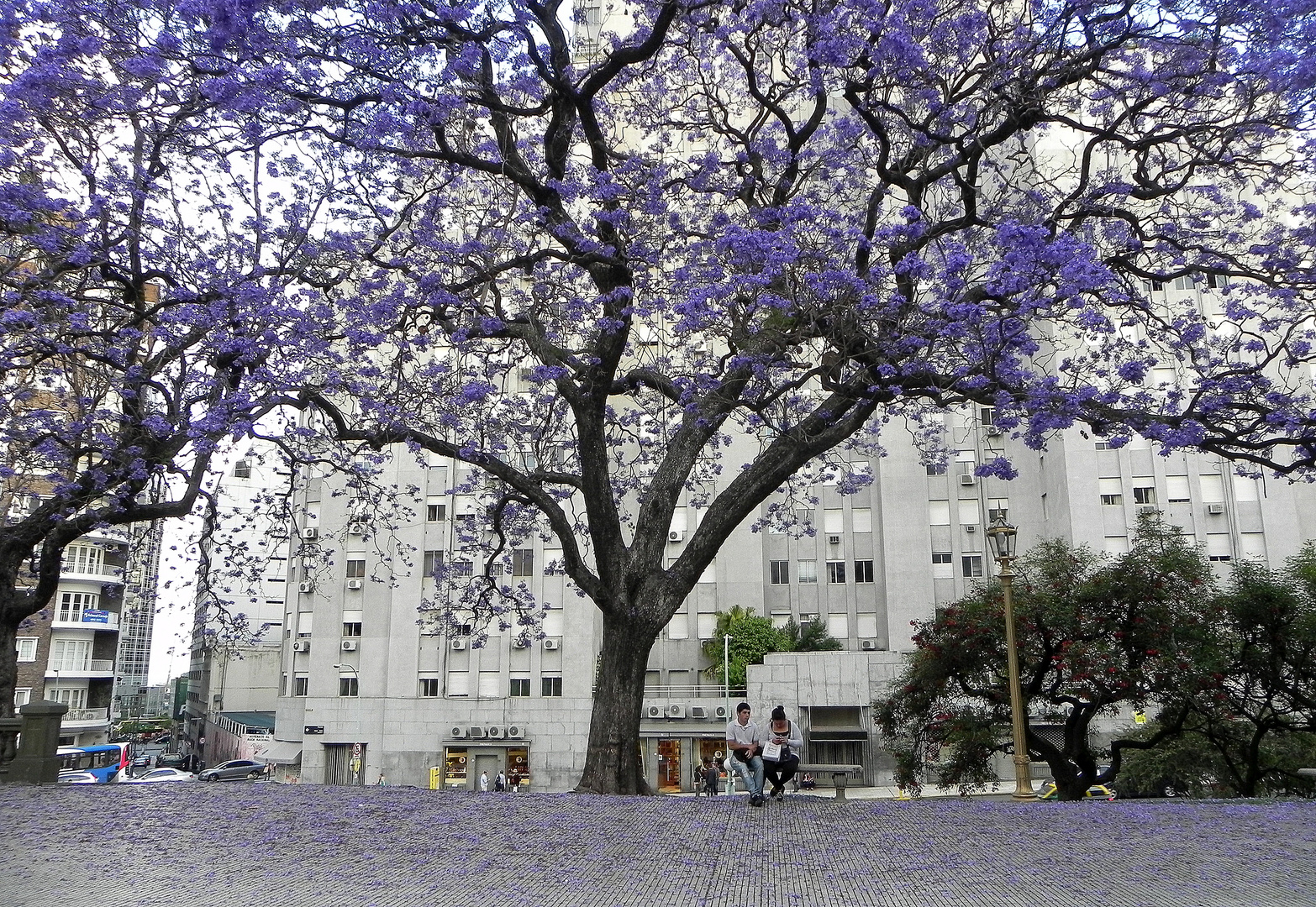 PLAZAS DE BUENOS AIRES