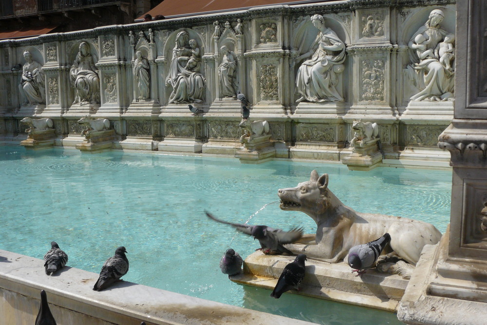 PLAZZA DEL CAMPO SIENNE ITALIE (la fontaine)